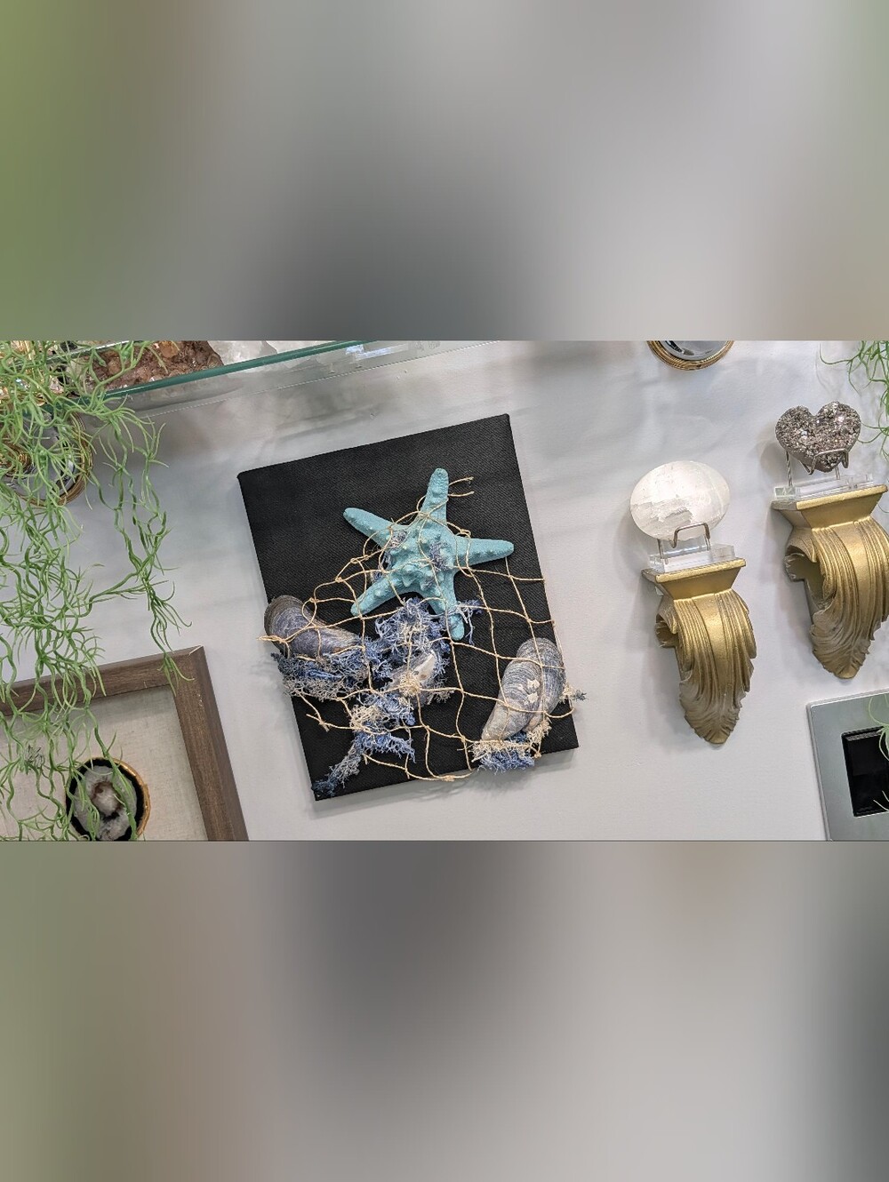 Coastal Seashell Canvas Beach Ocean Art